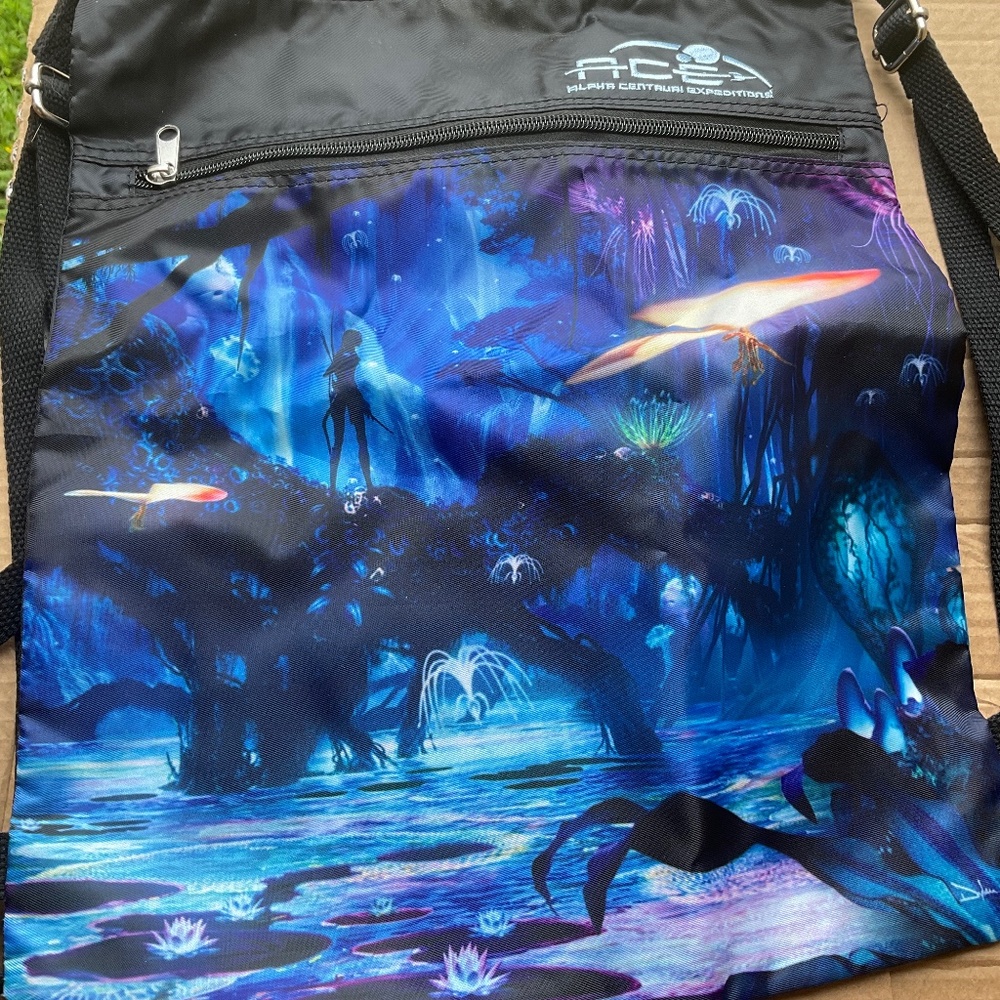 Disney park pandora backpack